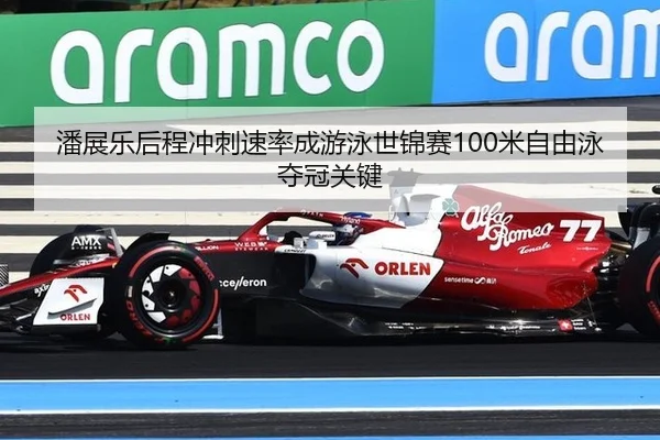pan-zhan-le-hou-cheng-chong-ci-su-lv-cheng-you-yong-shi-jin-sai-mi-zi-you-yong-duo-guan-guan-jian-2-422.jpg