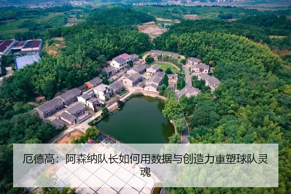 厄德高：阿森纳队长如何用数据与创造力重塑球队灵魂