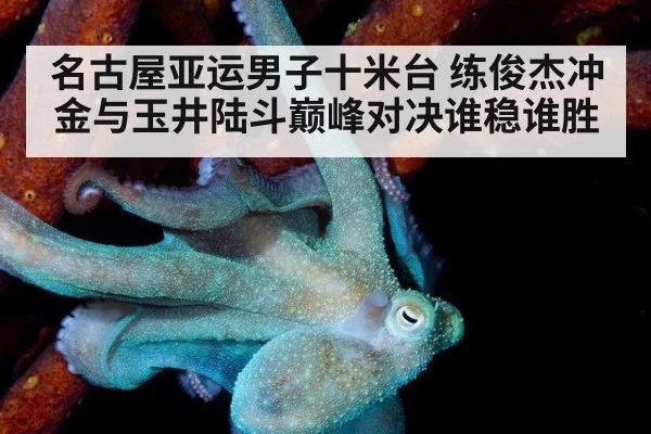 名古屋亚运男子十米台 练俊杰冲金与玉井陆斗巅峰对决谁稳谁胜